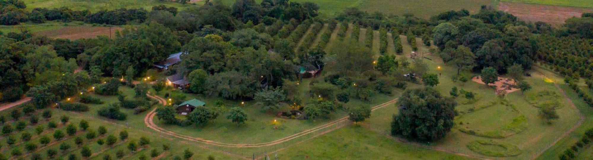 Kiaat Bungalows Hazyview Eksteriør billede